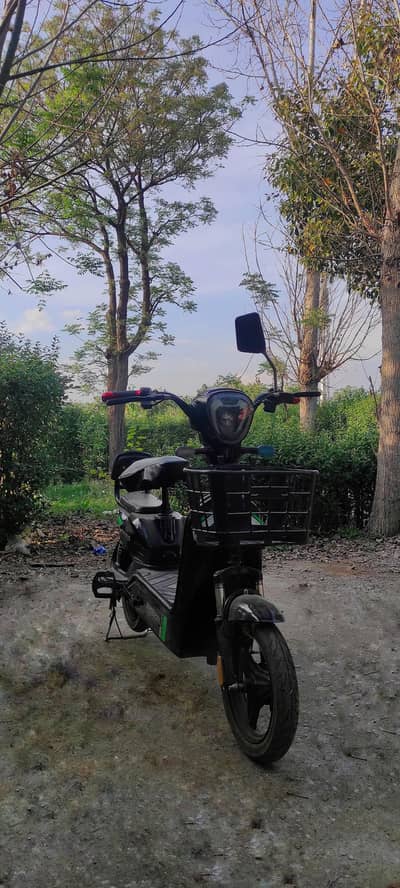 Eveon Zippy Electric Scooty – Excellent Condition | Low Cost Ride 