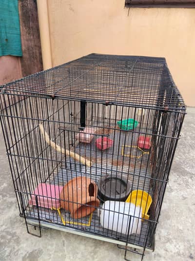 birds Cages