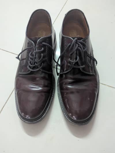 John White UK Branded Leather Shoes