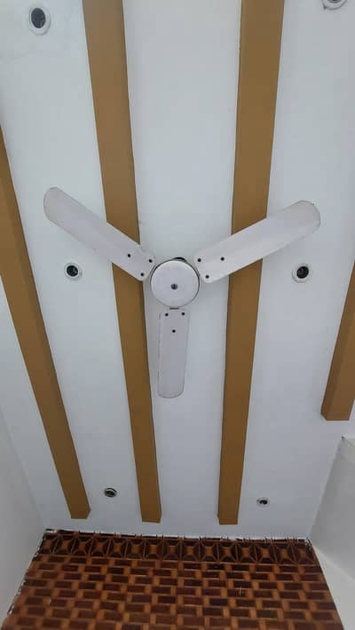 Old Fan Available Perfect Condition