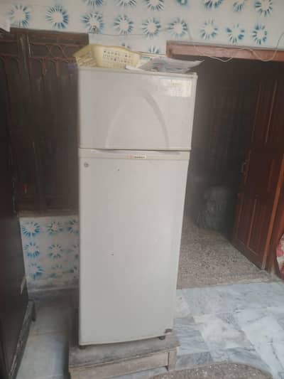 dawlanc fridge