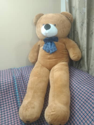 6 feet Teddy