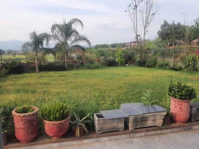 Basement portion for rent