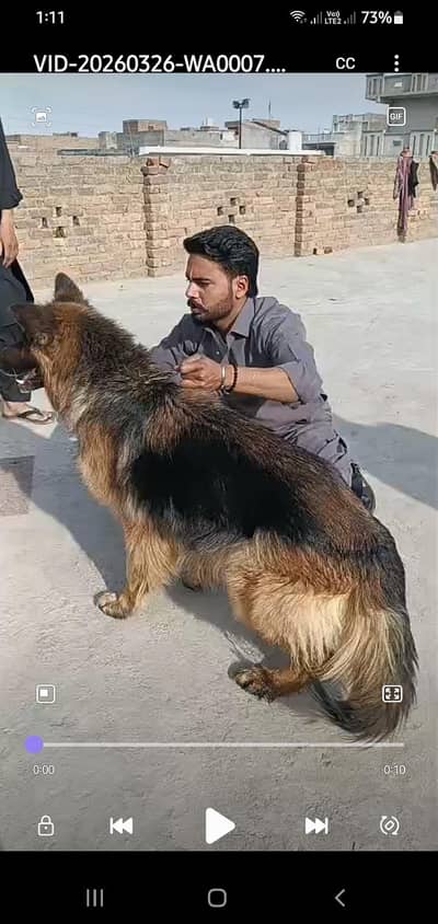 muqamal sehat mand vacinated done