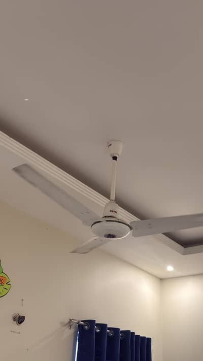 GFC fans for sell Excellent Condition