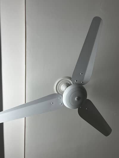 Ceiling fans