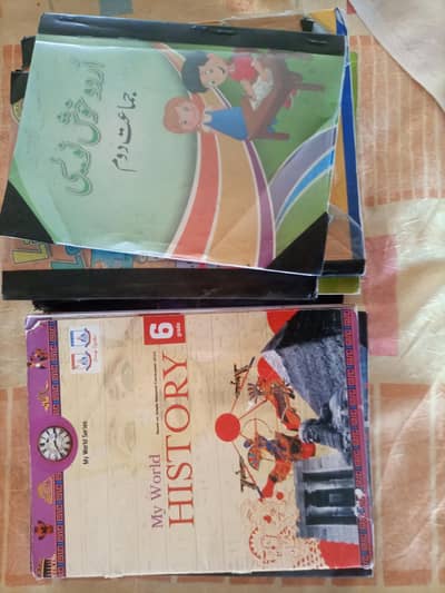 Allied School Syllabus