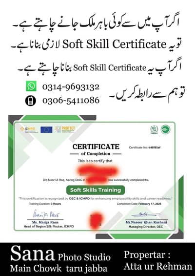 soft skill certificate