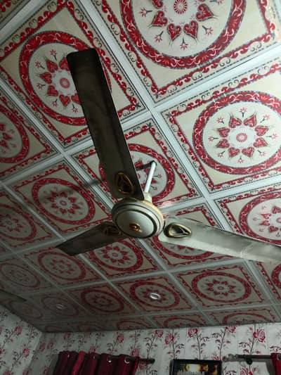 pak fan 220 watt for sale