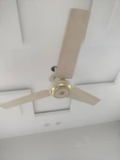 2 Copper Fans for sale