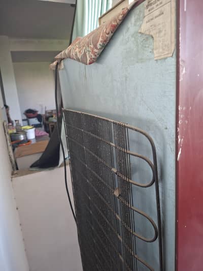 Orient Fridge medium size