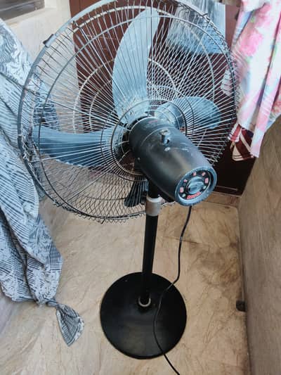 Royal Pedistal Fan