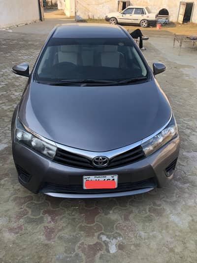 new Shape gli 14 modal