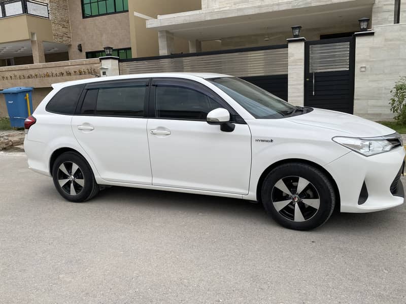 feilder 2018 model 2