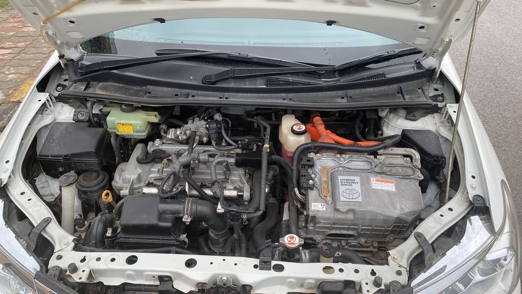 feilder 2018 model 8