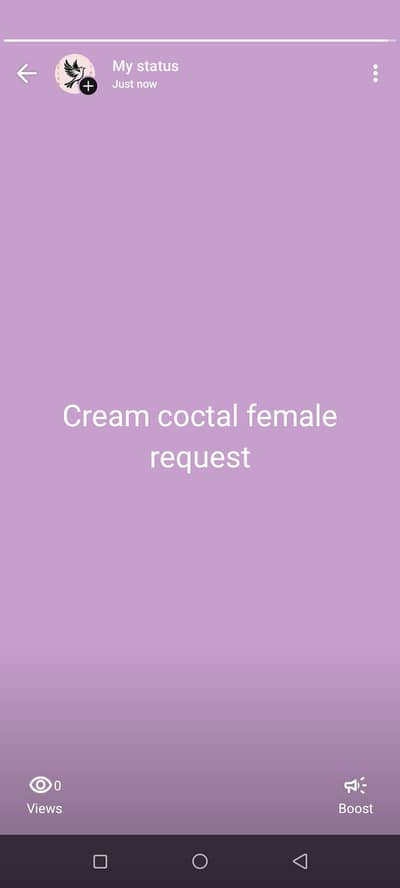 my WhatsApp number 03288389369