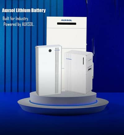 Lithium Ion Batteries |