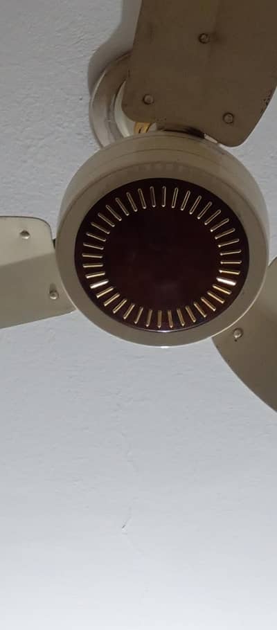 celling fan copper