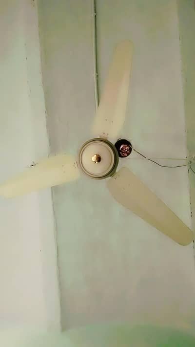 ceiling fans 2
