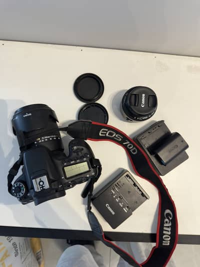 Canon 70D with Sigma 18-250 lens and Canon 50mm 1.8