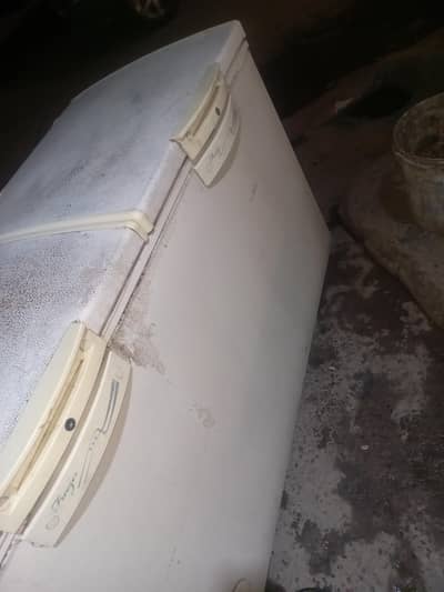 Waves cool bank deep freezer  double door