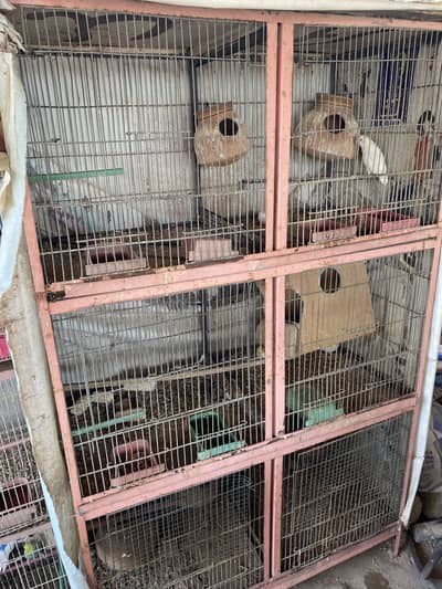 6 portions iron Cage