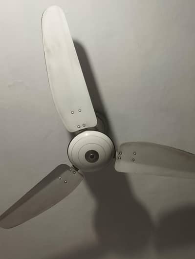 Celling Fan 56"