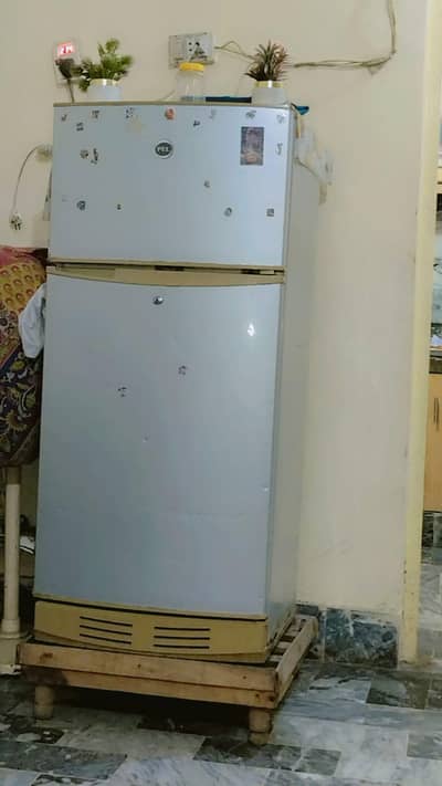 Pel Small size urgent sell