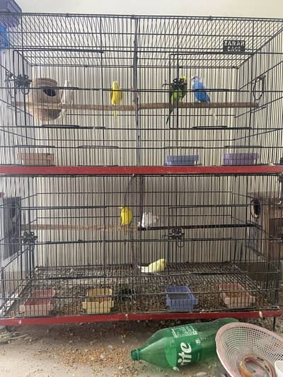 Exi pairs hogoromo pair aur red eye