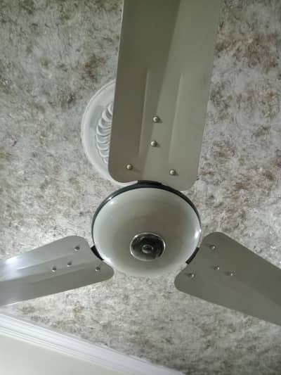 celling fan