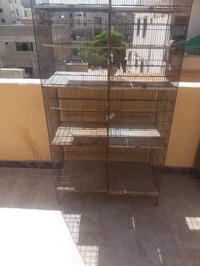 5 star  company best cages