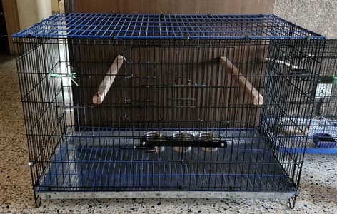 Brand new folding large cage for sale