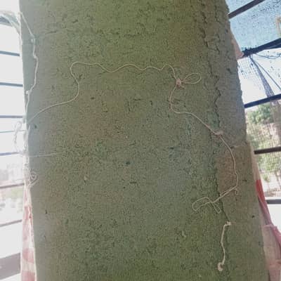 good condition mein single mattress 3 by 6 8 inch  usz nhi howa ha  as