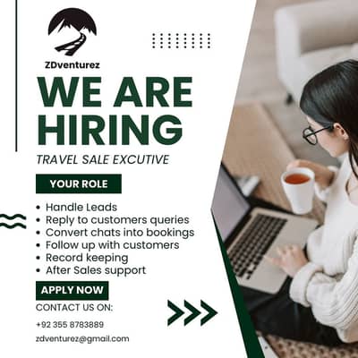 Travel Sales Excutive