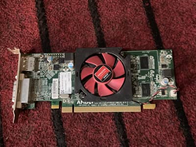 AMD Radeon 7000 HD 64 bit 1GB