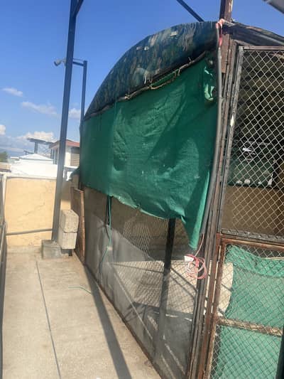 Master aviary for birds