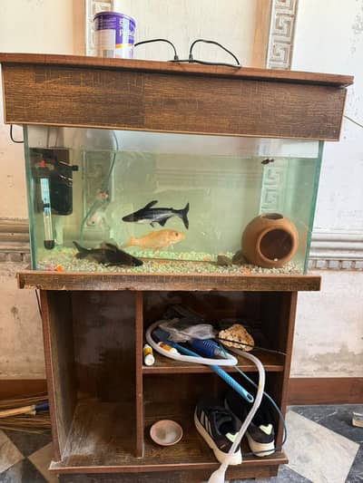 AQUARIUM WITH FISHES AND ACCESSORIES