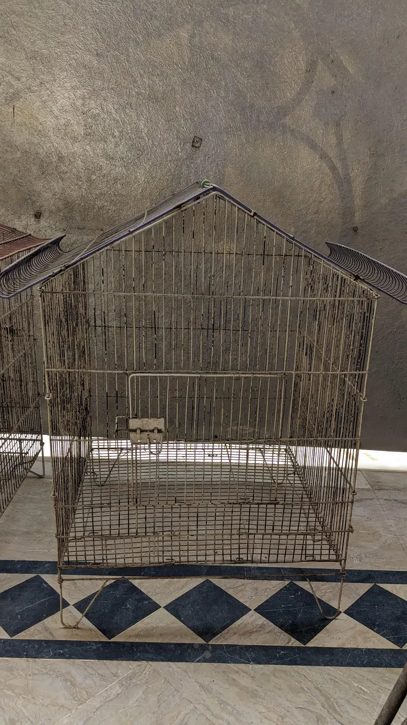 2 bird cages — photo 2