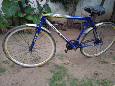 Diamond Road Bicycle