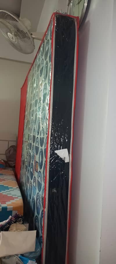 Master Molty Foam Unused Mattress