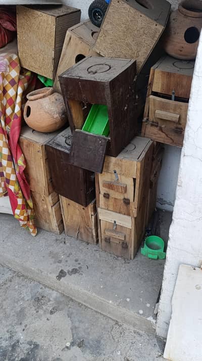 Lave Birds Box kiker