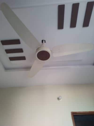 Royal fan new condition