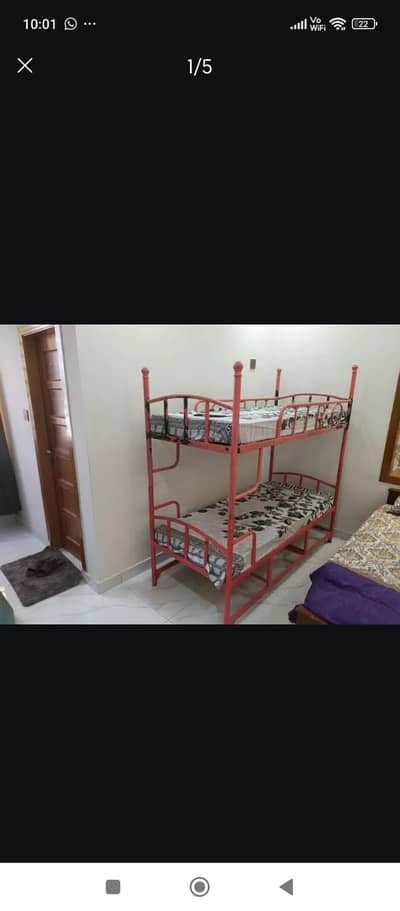 Bunk bed for both kids and adults