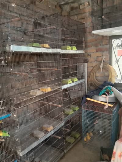 Tower Cage 1.5 x 1.5 x 2.5 (& others)