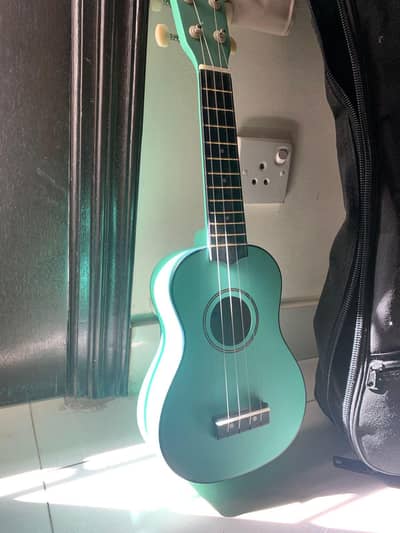 ukulele with pic