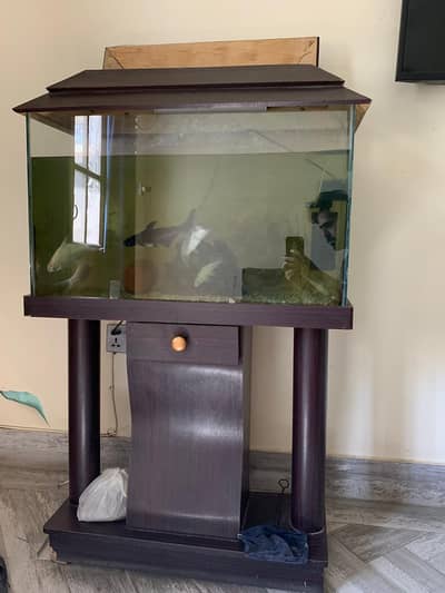 Aquarium with fishes and accessories