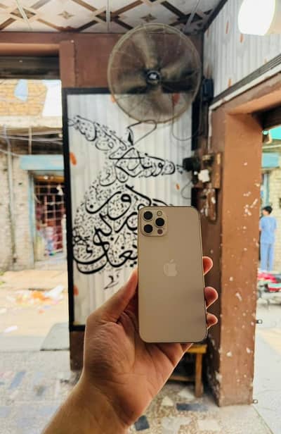 iphone 12 Pro 256GB Non PTA Not JV 88 Health Waterpack