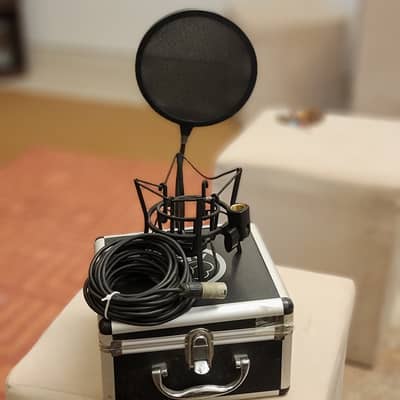 AKG Perception P220 Cardioid Condenser Studio Microphone