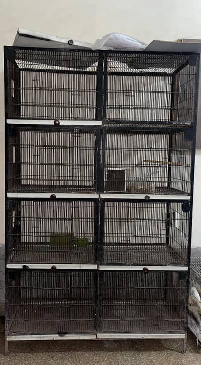 Bird Iron Angle Cage | 8 Portion