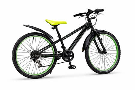 Imported Japanese  24 Wheel  Bicycle